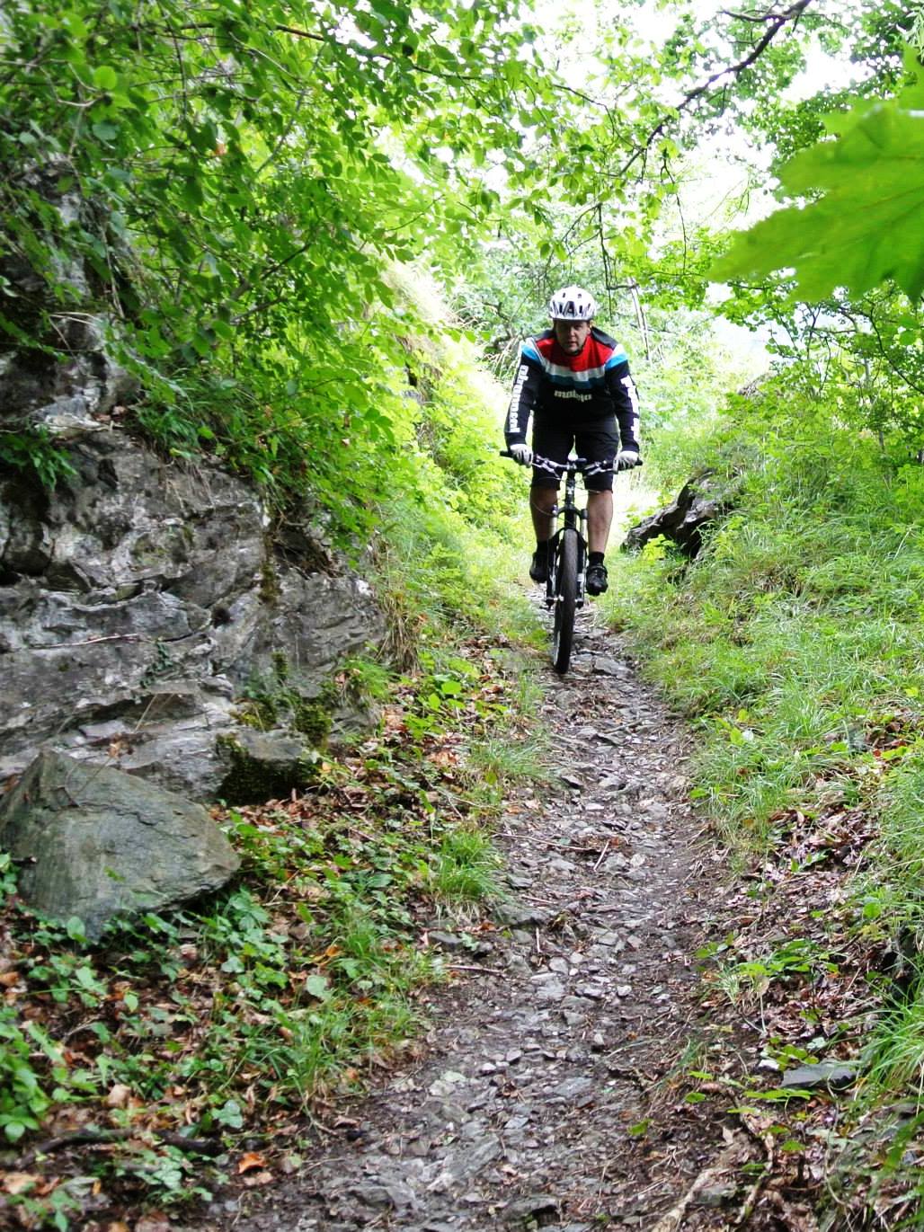 MTB-Touren Bayerwald Moldausee Bayern Tschechien Dreiländereck Dreisessel geführte Mountainbiketouren
