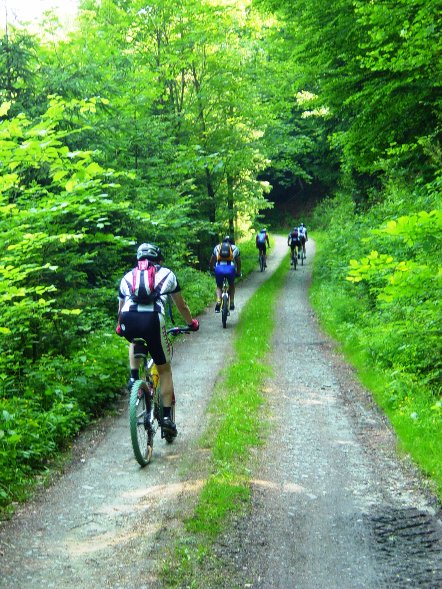 Bike-Touren Bayerischer Wald Bayern Tschechien Dreiländereck Dreisessel geführte Mountainbiketouren